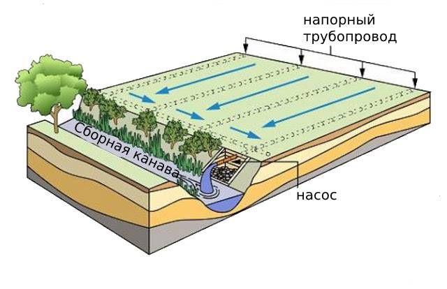 3.jpg?lang=ru